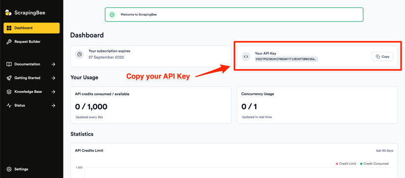 Copying the API Key from ScrapingBee dashboard