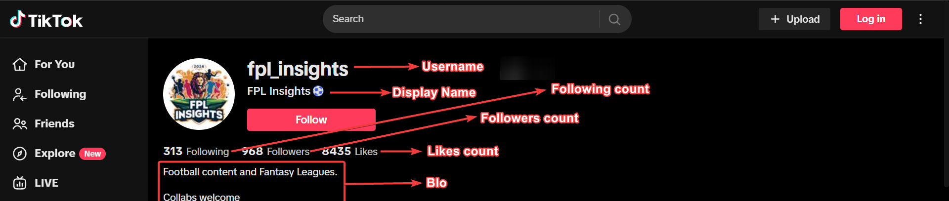 Annotated TikTok profile page showing locations of username, display name, follower count, following count, like count, bio, and video count.