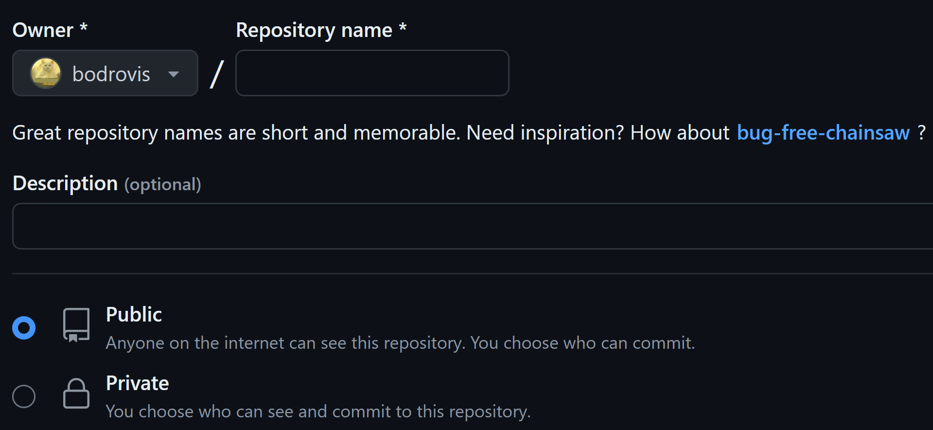 Providing repository details on GitHub