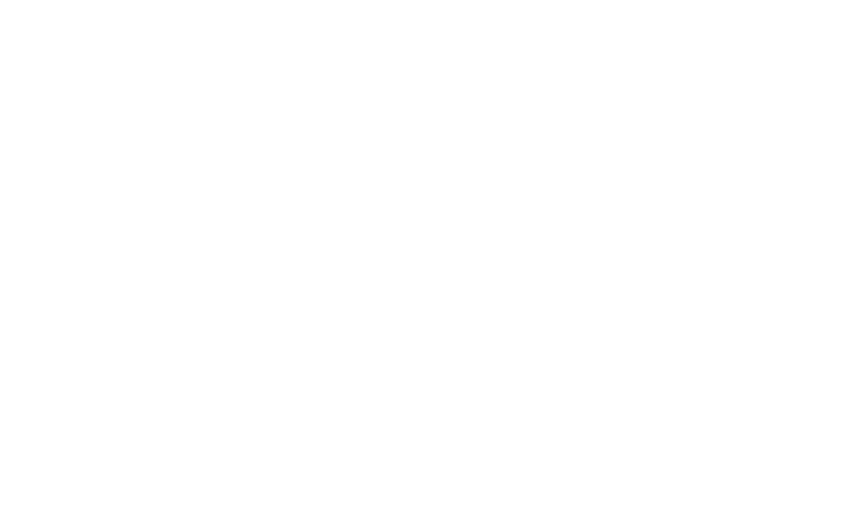 Screenshot overlay